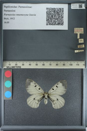 Media type: image;   Entomology 180004
